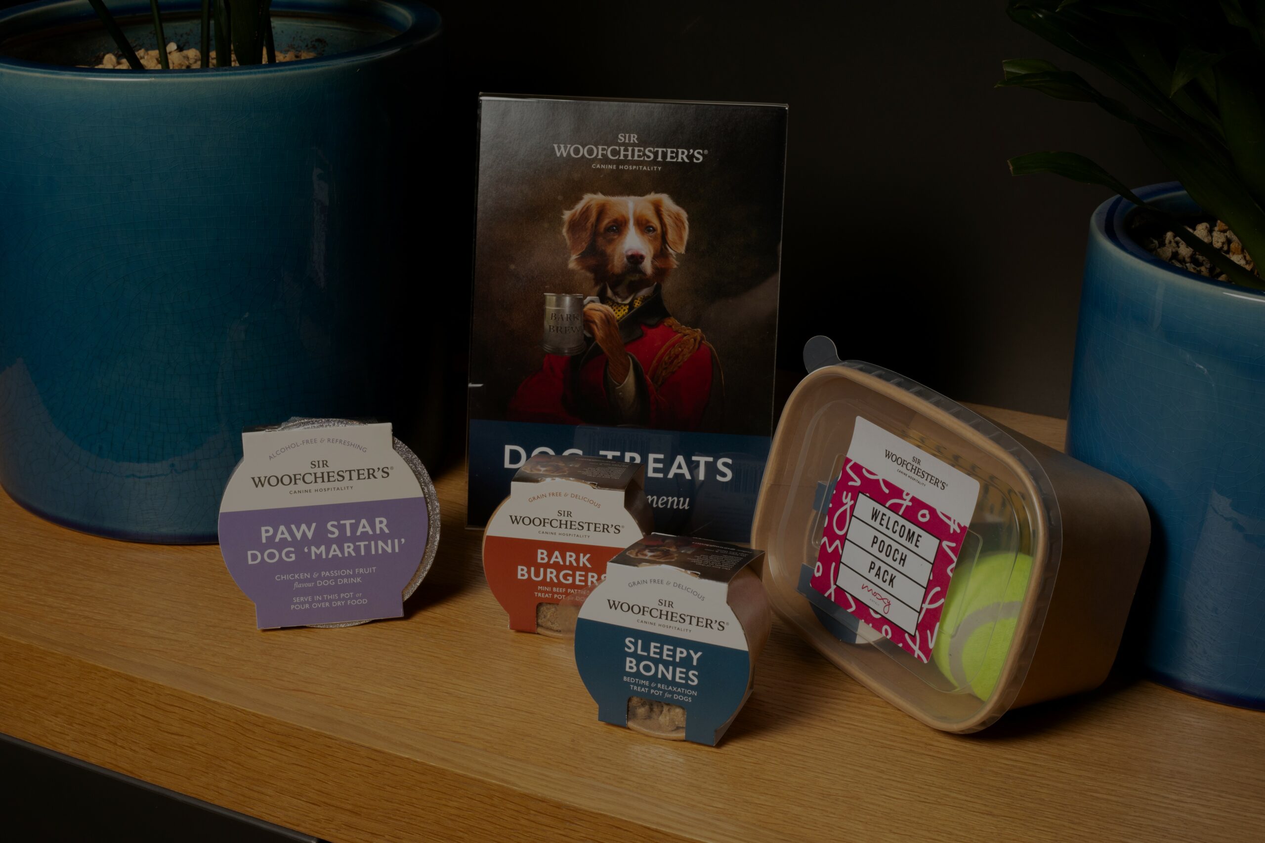 MOXY HOTELS GO BARKING MAD FOR NEW ENHANCED DOG-FRIENDLY PACKAGES